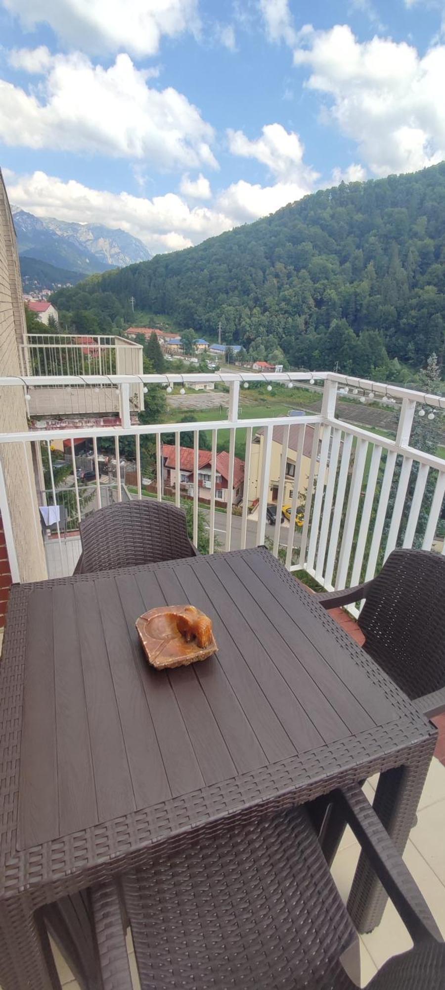 Duplex Belle View Sinaia-Free Parking Apartment ภายนอก รูปภาพ