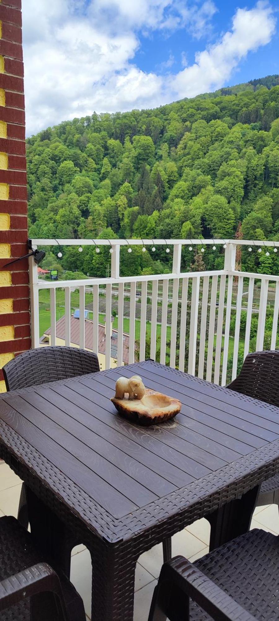 Duplex Belle View Sinaia-Free Parking Apartment ภายนอก รูปภาพ